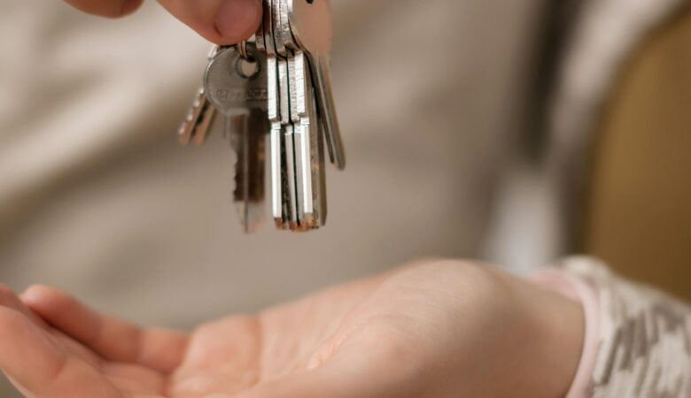 Business Hosting Vs. Personal Hosting: Key Differences You Must Know