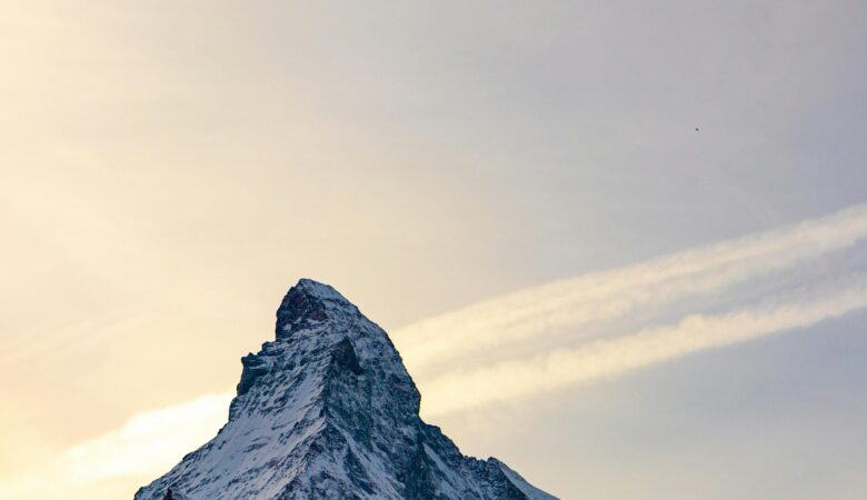 Cloud Vs Dedicated: Which Is More Cost Effective for Your Business?